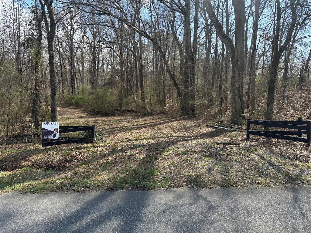 0 Pine Mountain Road Rockmart, GA 30153 - Photo 1 of 4