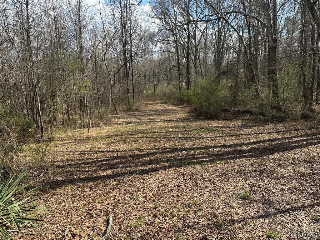 0 Pine Mountain Road Rockmart, GA 30153 - Photo 2 of 4