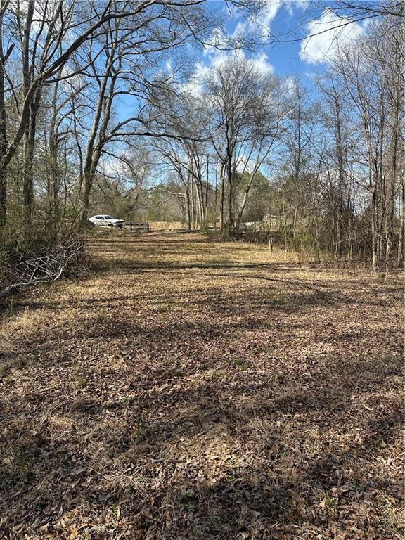 0 Pine Mountain Road Rockmart, GA 30153 - Photo 3 of 4