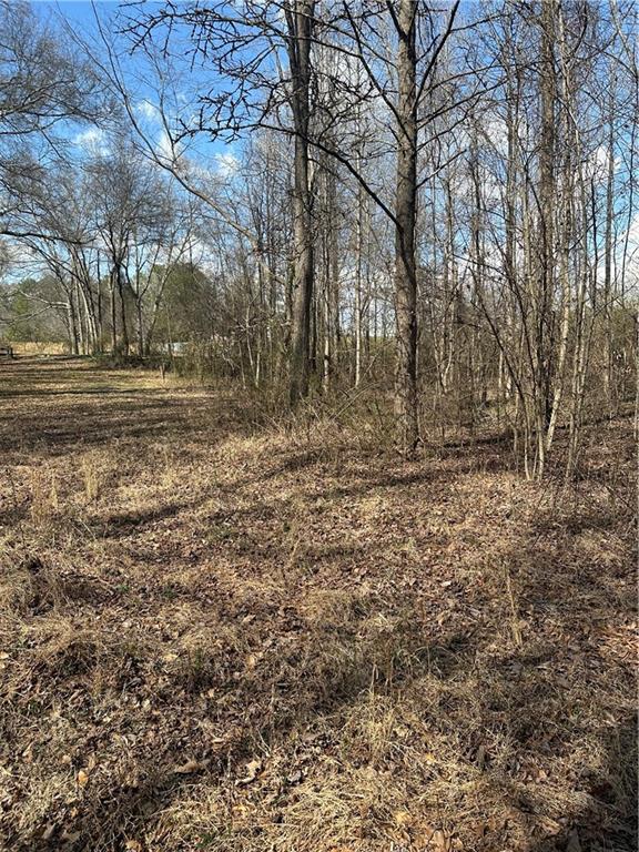 0 Pine Mountain Road Rockmart, GA 30153 - Photo 4 of 4