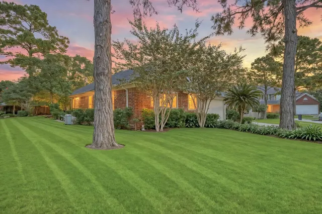 a view of a tree in front of a house