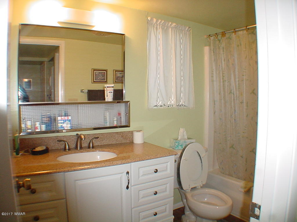 4467 Resort Loop Pinetop, AZ 85935 - Photo 20 of 43