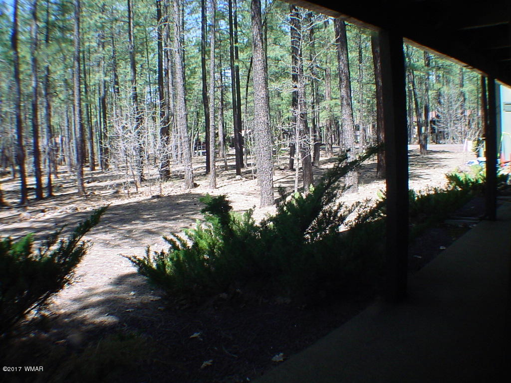 4467 Resort Loop Pinetop, AZ 85935 - Photo 37 of 43