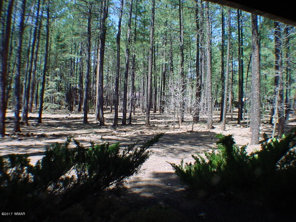 4467 Resort Loop Pinetop, AZ 85935 - Photo 38 of 43