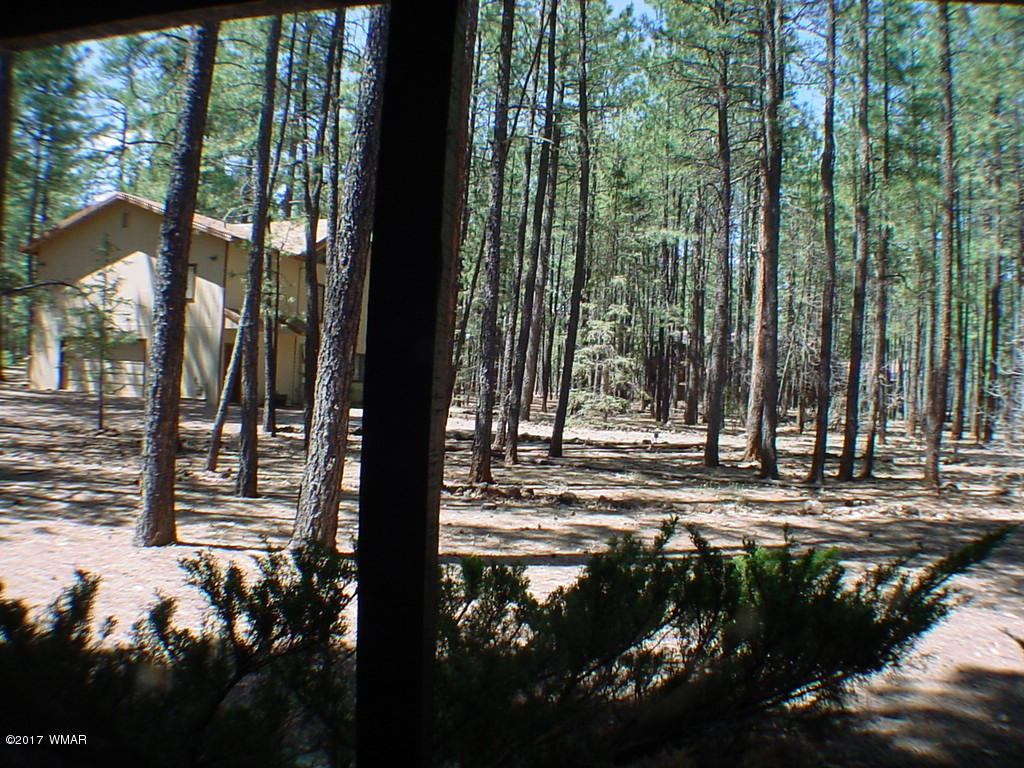 4467 Resort Loop Pinetop, AZ 85935 - Photo 39 of 43