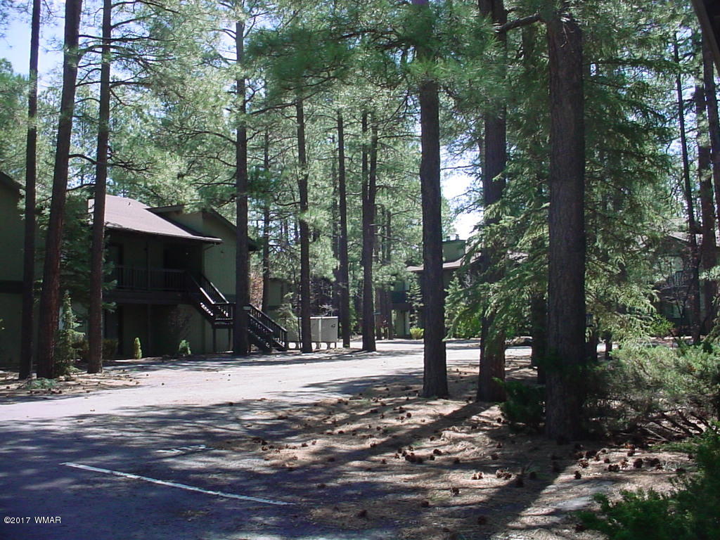 4467 Resort Loop Pinetop, AZ 85935 - Photo 43 of 43