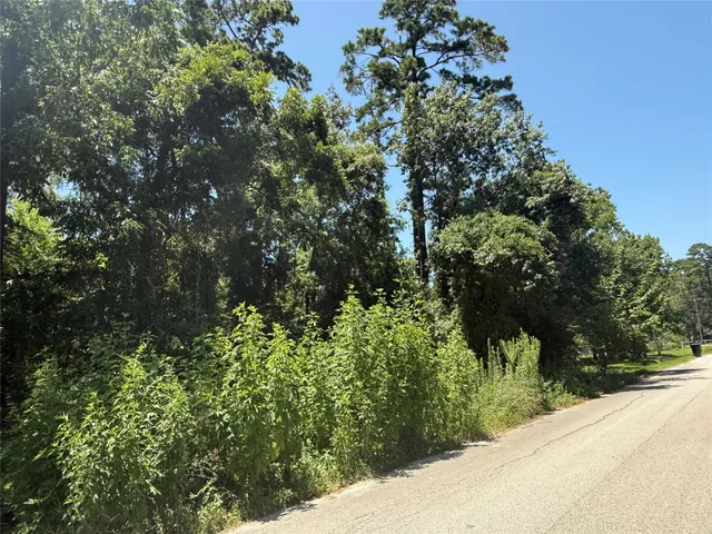 $60,000 | 0 Big Deer Drive, Crosby, TX 77532