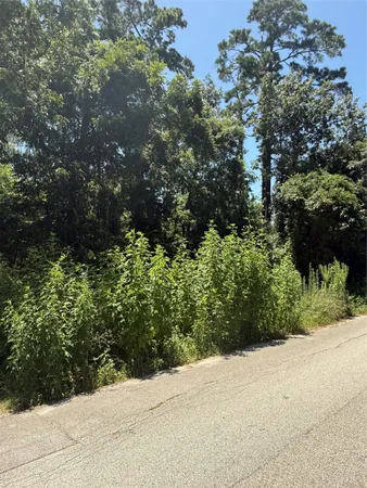 a view of a yard with potted plants