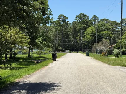 a view of a park with large trees