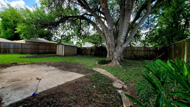 a view of a backyard with large trees and plants