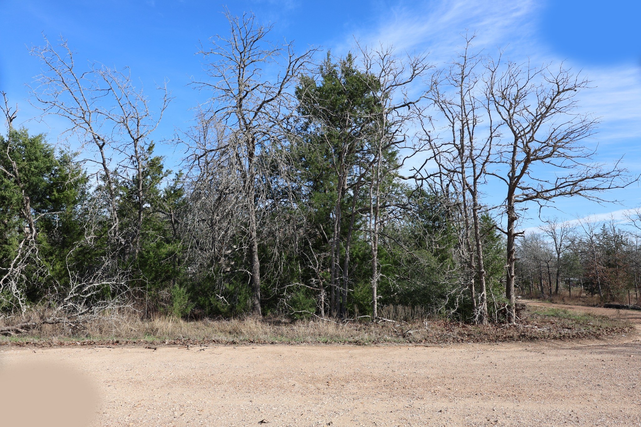 535 Blueberry Hill Road Somerville, TX 77879 - Photo 2 of 7 a pathway of a yard