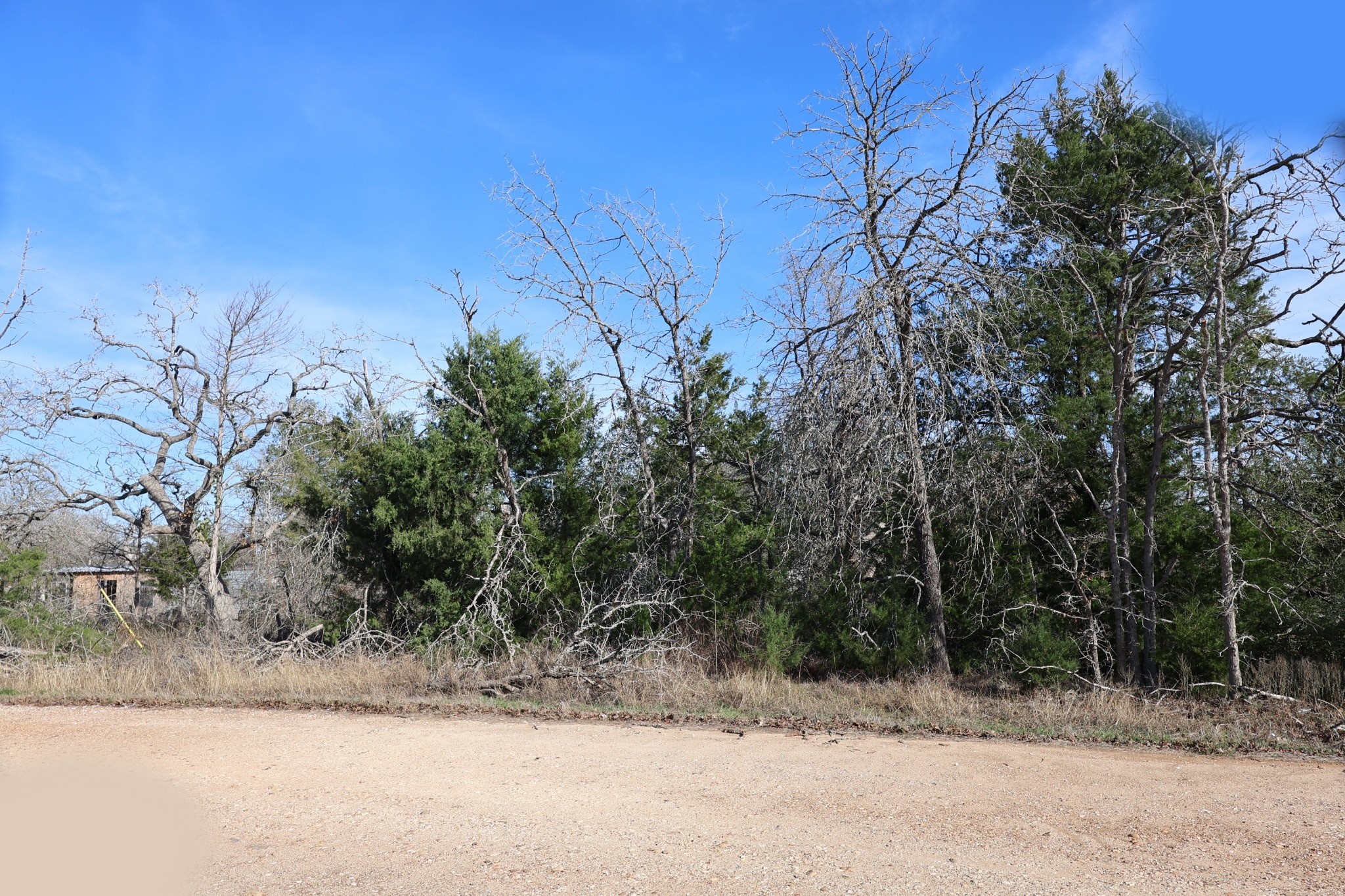 535 Blueberry Hill Road Somerville, TX 77879 - Photo 4 of 7 front view of a house with a yard