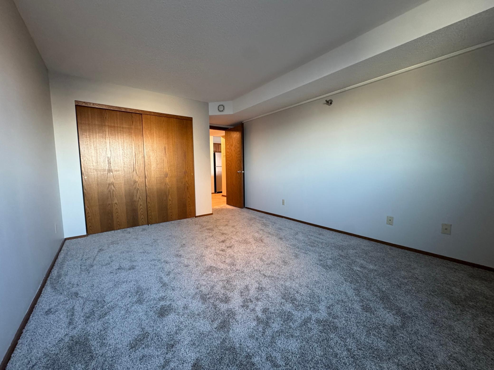 66 9th Street East, Unit 1210 St. Paul, MN 55101 - Photo 11 of 21