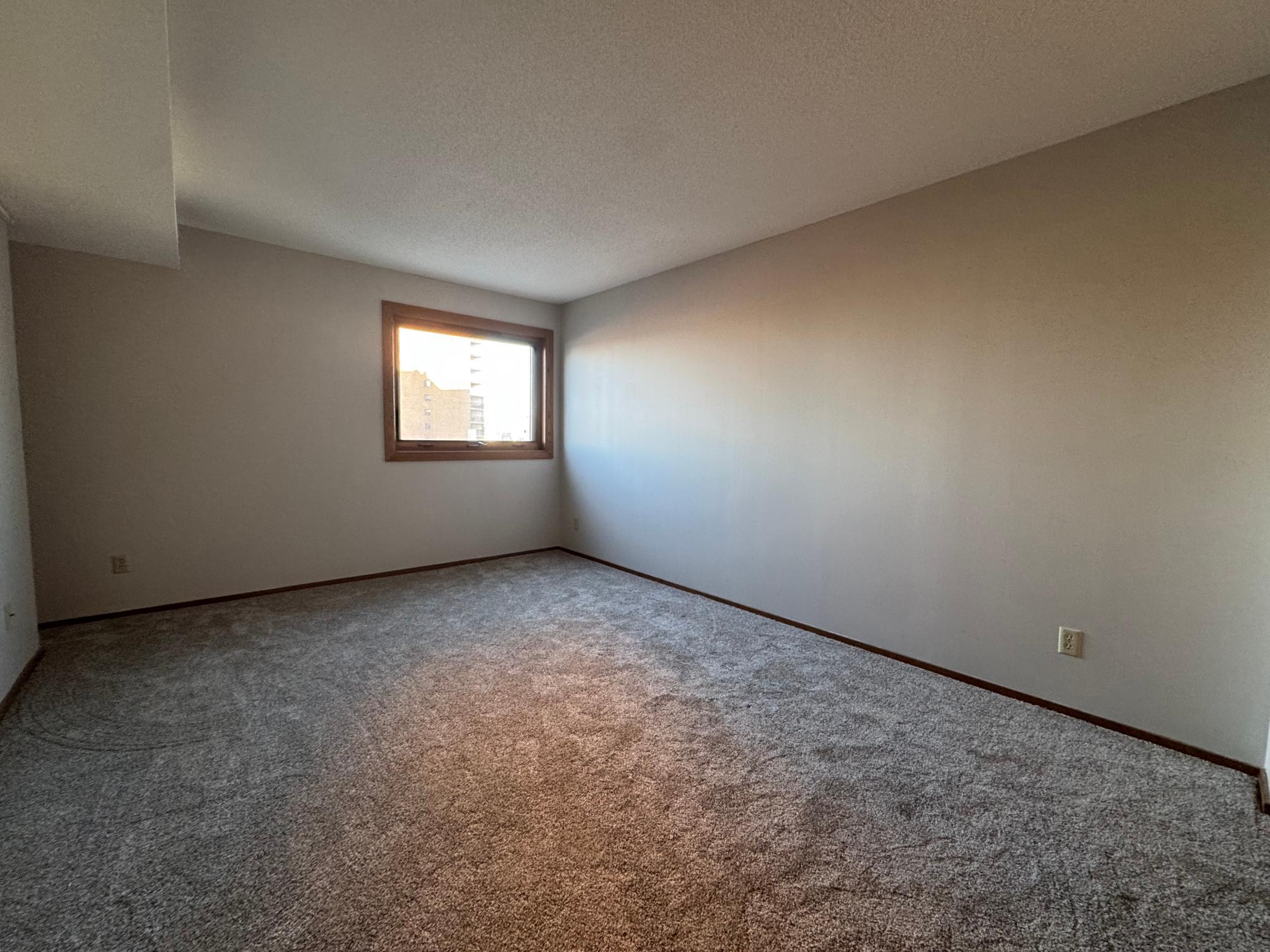 66 9th Street East, Unit 1210 St. Paul, MN 55101 - Photo 12 of 21
