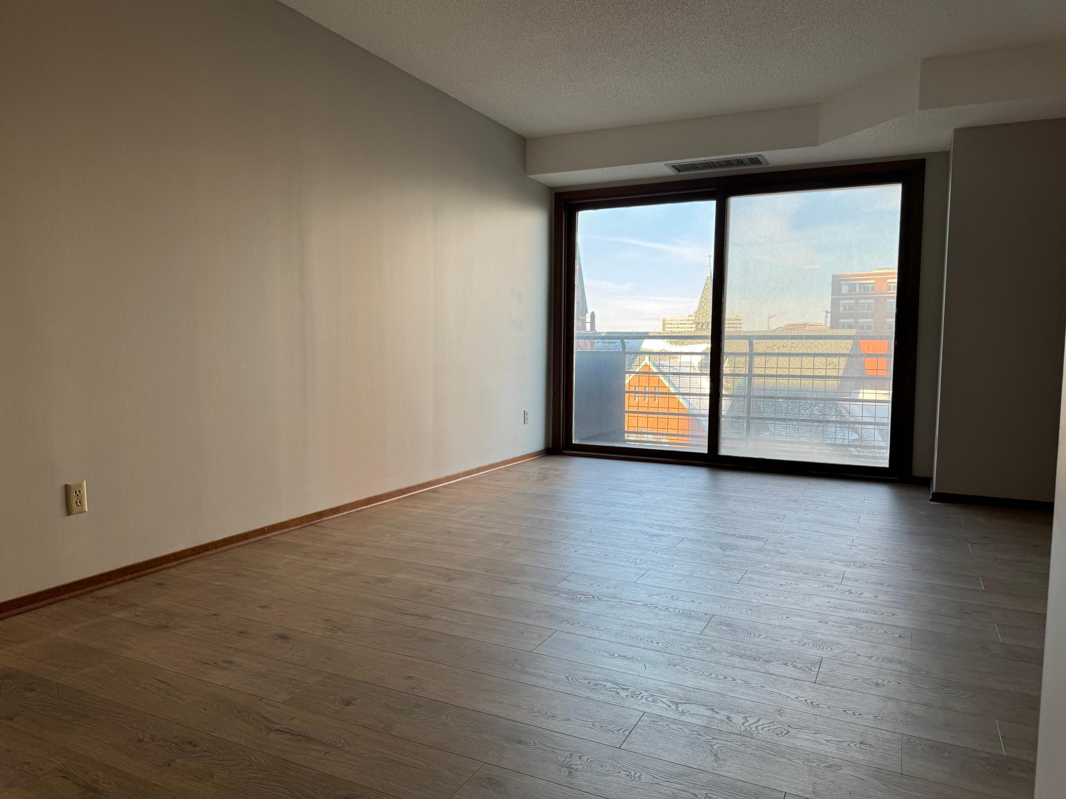 66 9th Street East, Unit 1210 St. Paul, MN 55101 - Photo 10 of 21