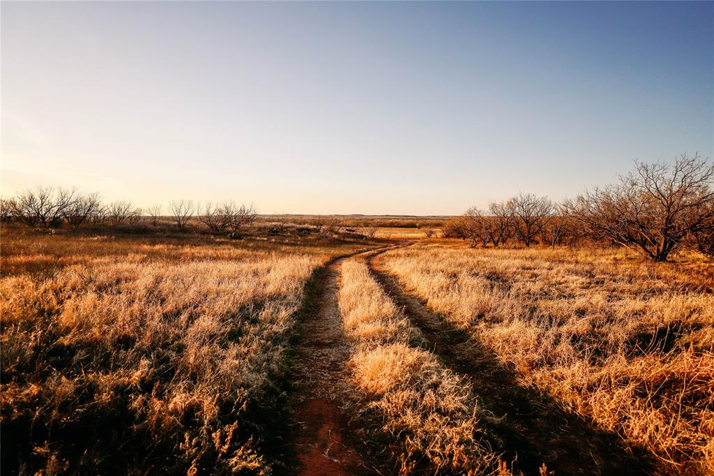 14657 County Road 433 Merkel, TX 79536 - Photo 1 of 1 a view of lake