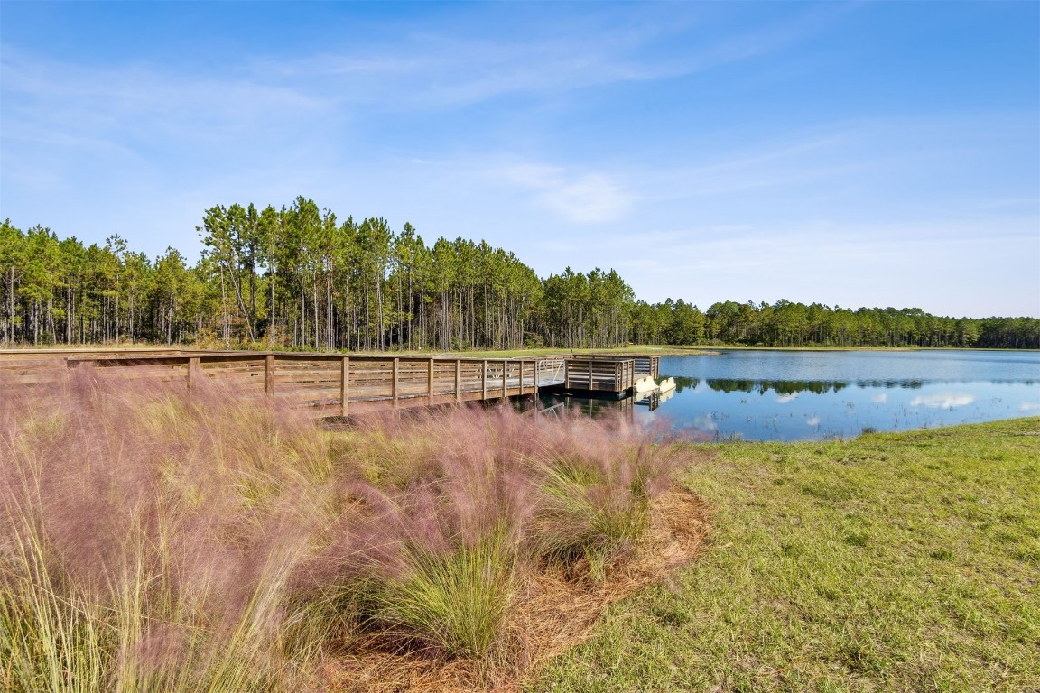 368 Muhly Grass Street Yulee, FL 32097 - Photo 56 of 60 a view of a lake view