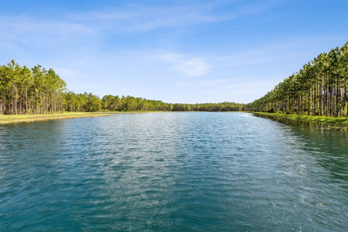 368 Muhly Grass Street Yulee, FL 32097 - Photo 59 of 60