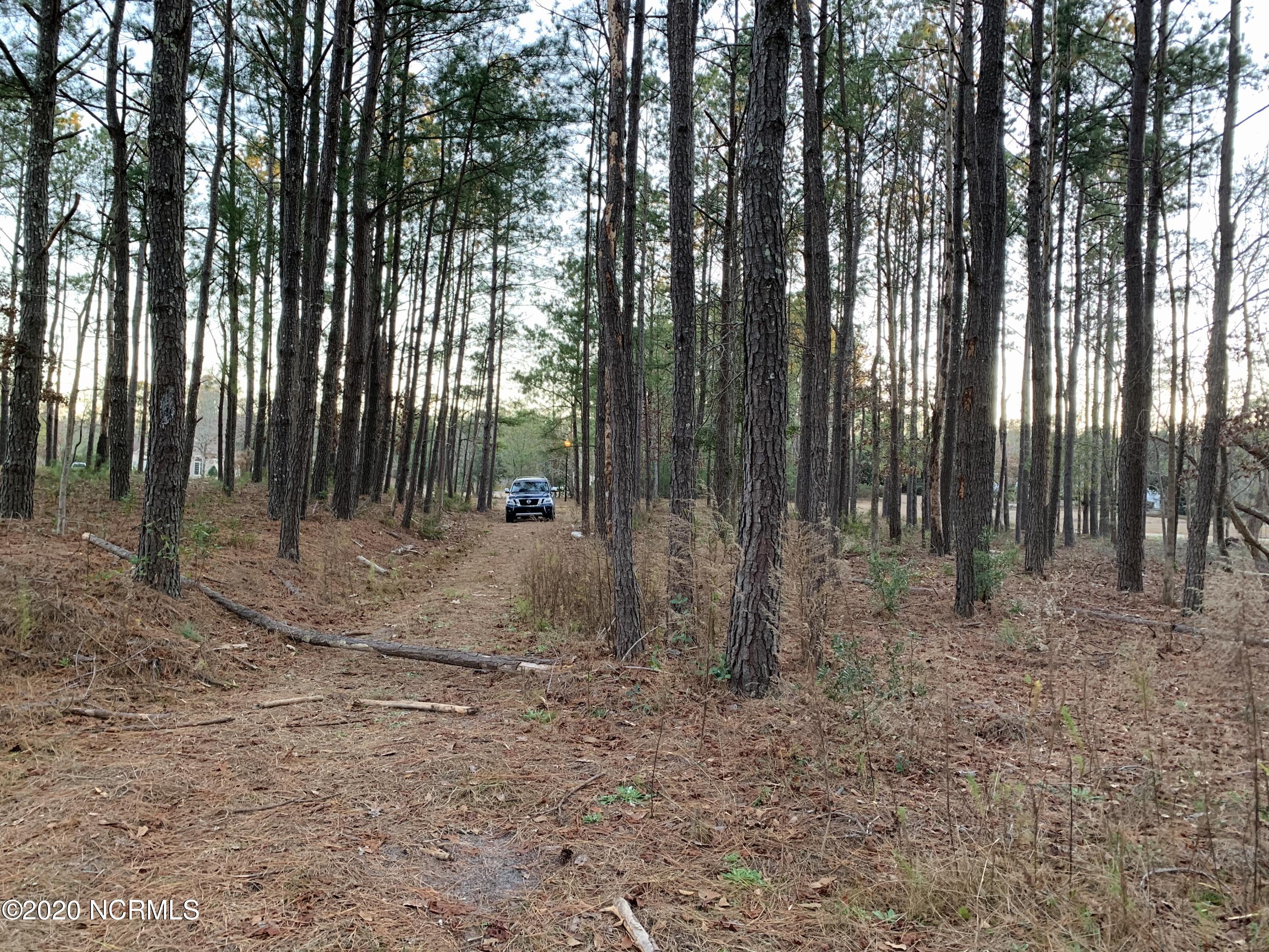 Lot 19 Whitebridge Road Hampstead, NC 28443 - Photo 1 of 5 Primary Photo