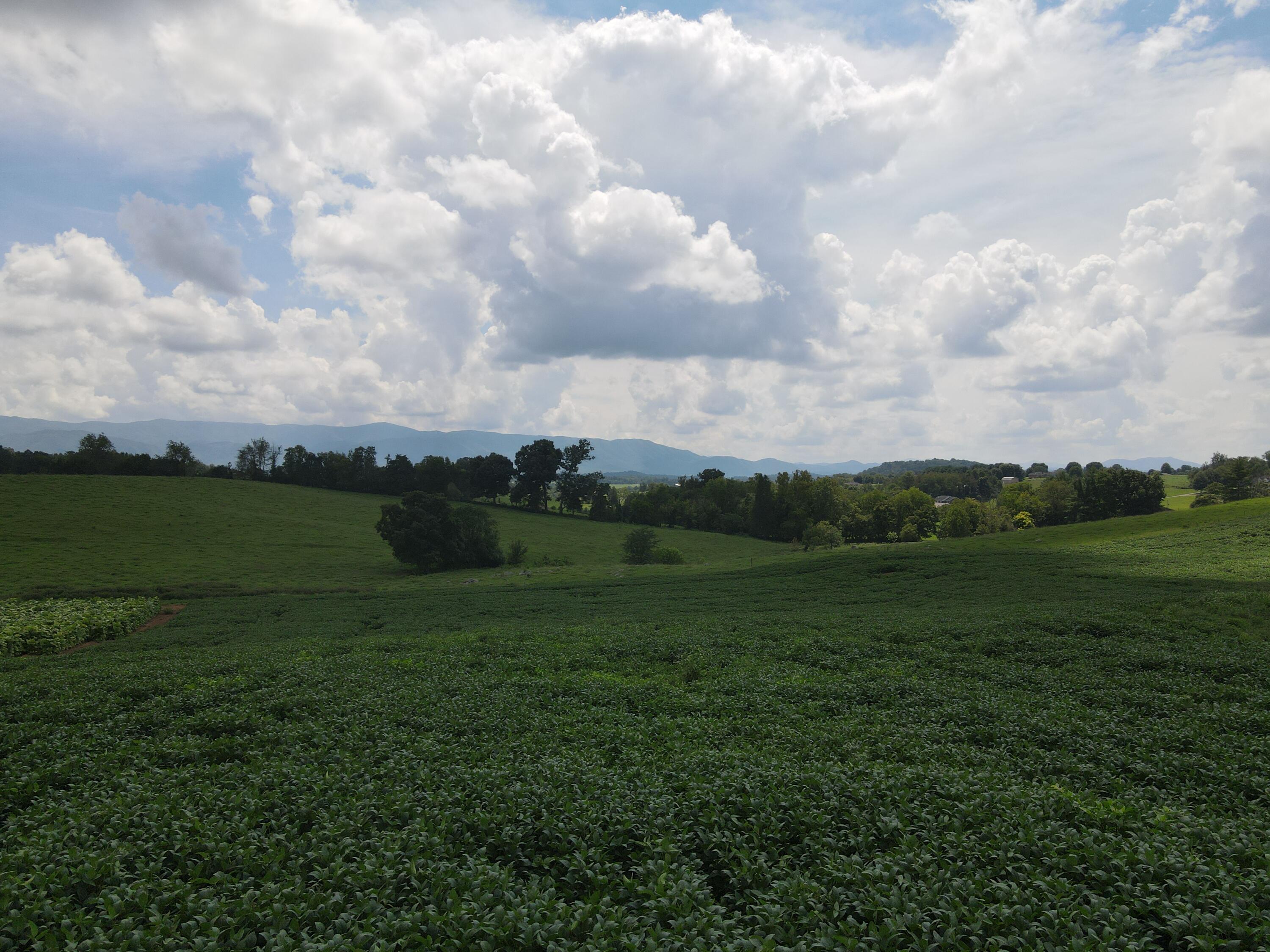 Tbd Browns Bridge Road, Unit 8 Greeneville, TN 37745 - Photo 2 of 7 DJI_0485