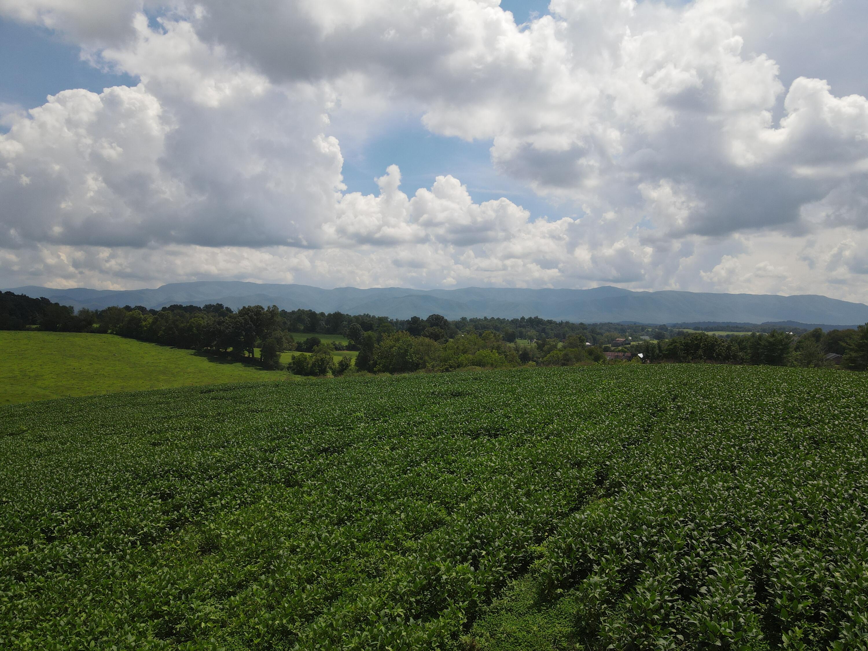 Tbd Browns Bridge Road, Unit 8 Greeneville, TN 37745 - Photo 5 of 7 DJI_0497