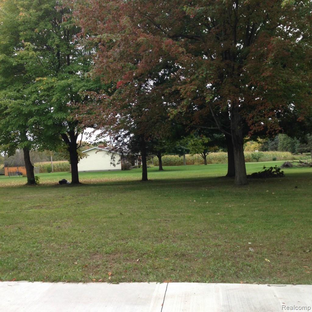 16247 Bak Road Belleville, MI 48111 - Photo 6 of 20 0158c95982293cec711008d896ece821a0c16574c6.jpg