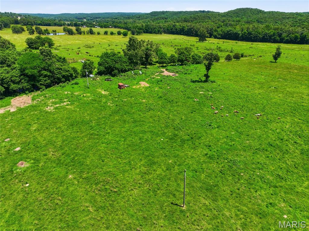 0 Pleasant Hill Road Mountain Grove, MO 65711 - Photo 14 of 51