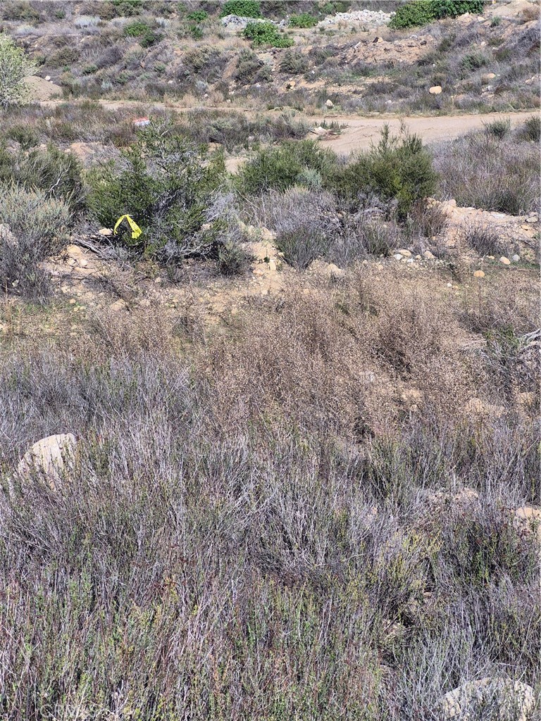 Undisclosed Address Newhall, CA 91321 - Photo 4 of 6 a backyard of a house with lots of green space