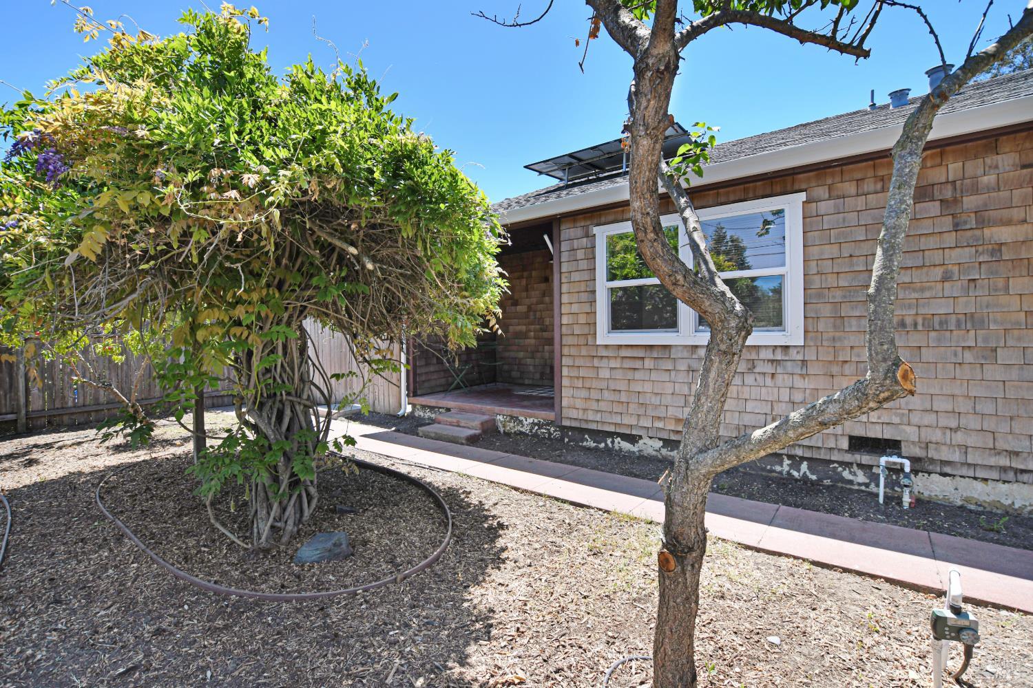 866 Yuba Drive Santa Rosa, CA 95407 - Photo 3 of 73 FRONT PATHWAY TO COTTAGE W/LARGE WISTERIA