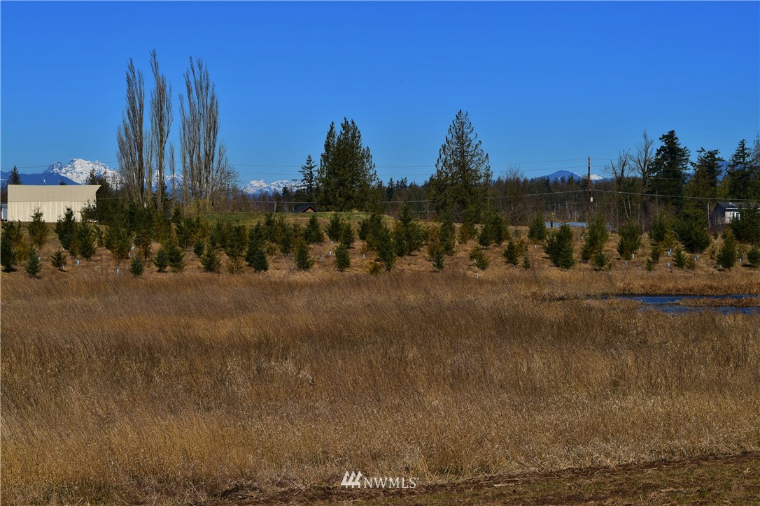 2748 East Badger Road Everson, WA 98247 - Photo 4 of 25