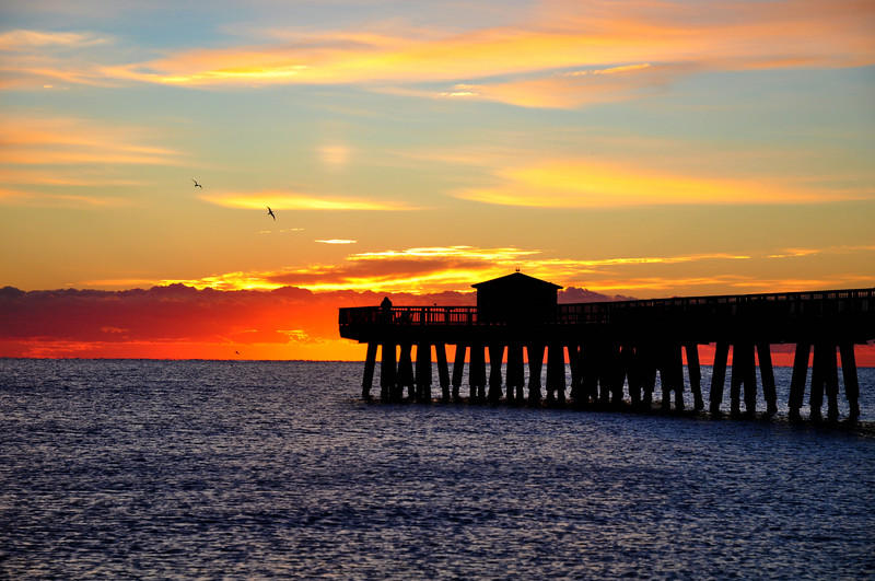 1627 Riverview Road, Unit 514 Deerfield Beach, FL 33441 - Photo 39 of 40 Neighboring Pompano Pier