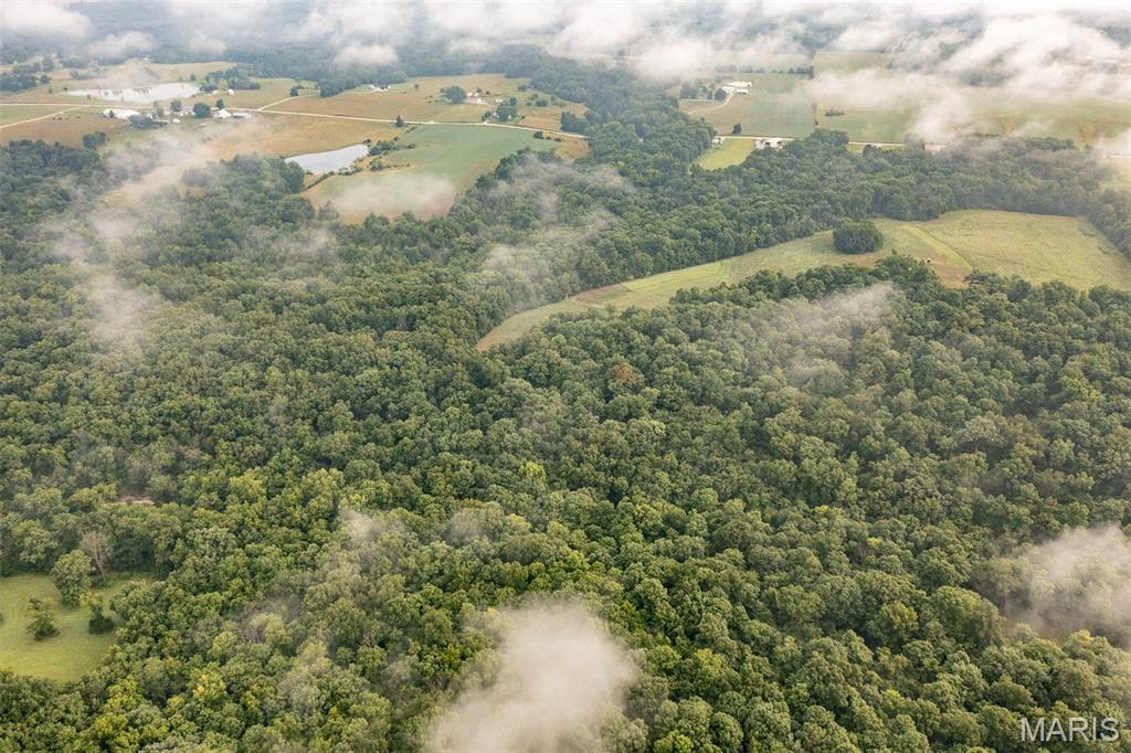 0 Cuivre Ford Road Troy, MO 63379 - Photo 27 of 35