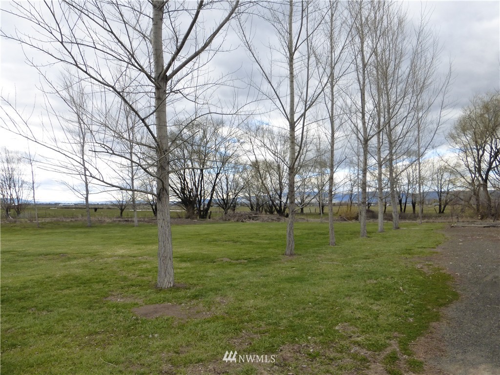 676 Fairview Road Ellensburg, WA 98926 - Photo 11 of 15 Gallery Image 11