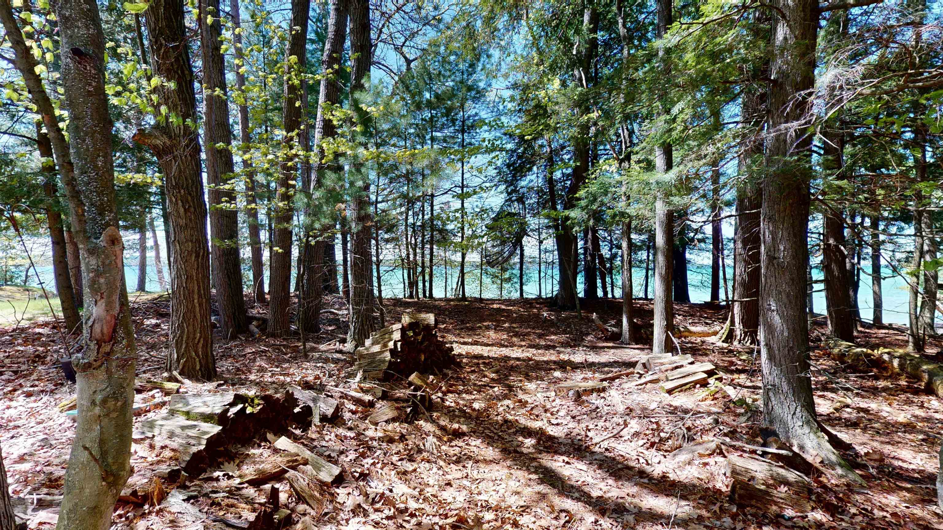 8645 Skegemog Point Road Williamsburg, MI 49690 - Photo 16 of 71
