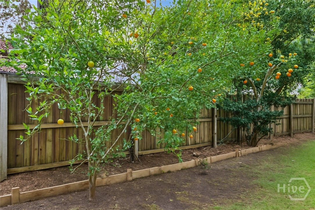 5 Rigger Court Savannah, GA 31410 - Photo 30 of 32 Mature citrus trees