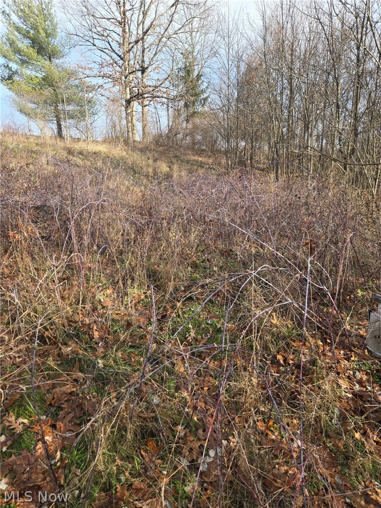 9284 Briar Road Magnolia, OH 44643 - Photo 1 of 6