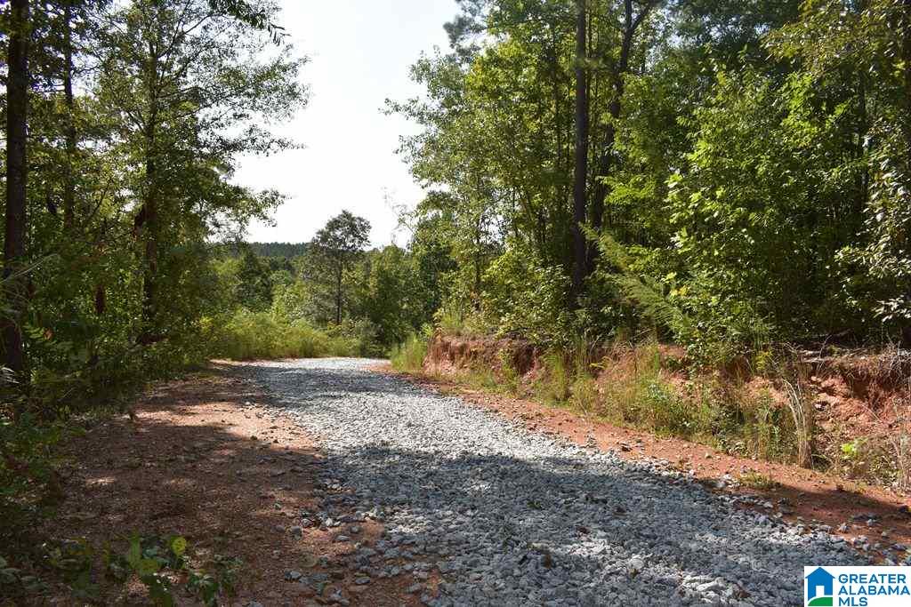 3348 County Road 7 Wedowee, AL 36278 - Photo 13 of 14