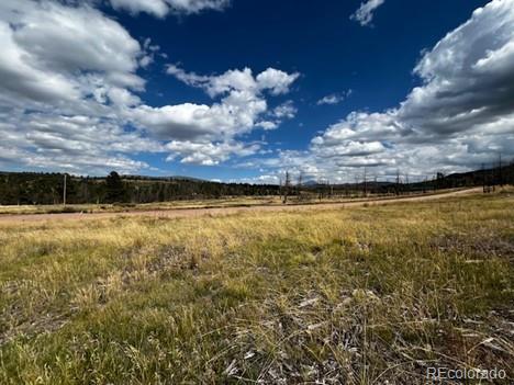 442 Forbes Park Road Fort Garland, CO 81133 - Photo 21 of 27