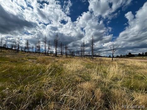 442 Forbes Park Road Fort Garland, CO 81133 - Photo 22 of 27