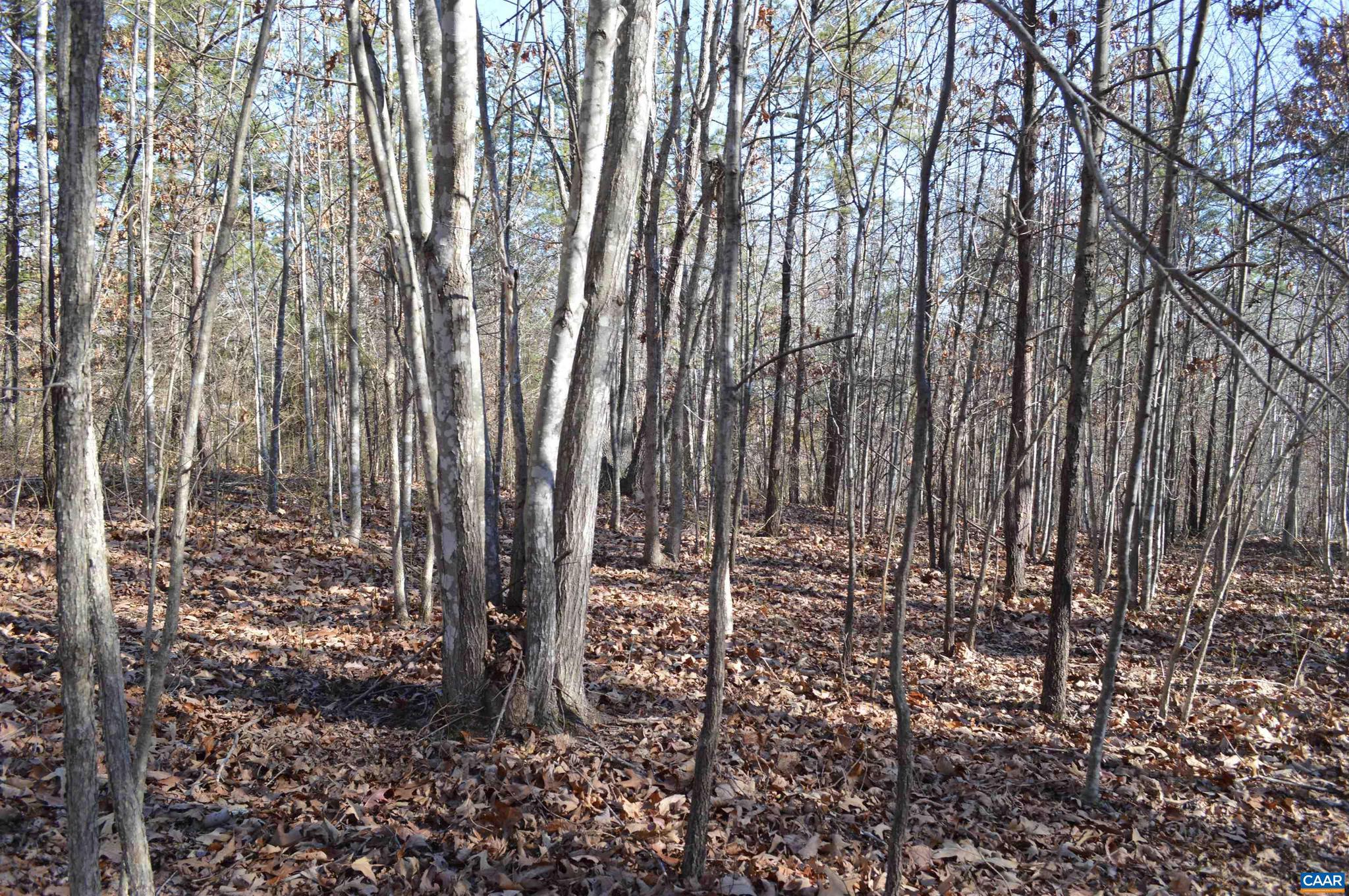 Frays Ridge, Unit 37 Earlysville, VA 22936 - Photo 18 of 18