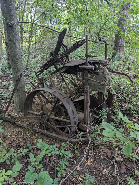 7168 Willis Road Brown City, MI 48416 - Photo 5 of 24