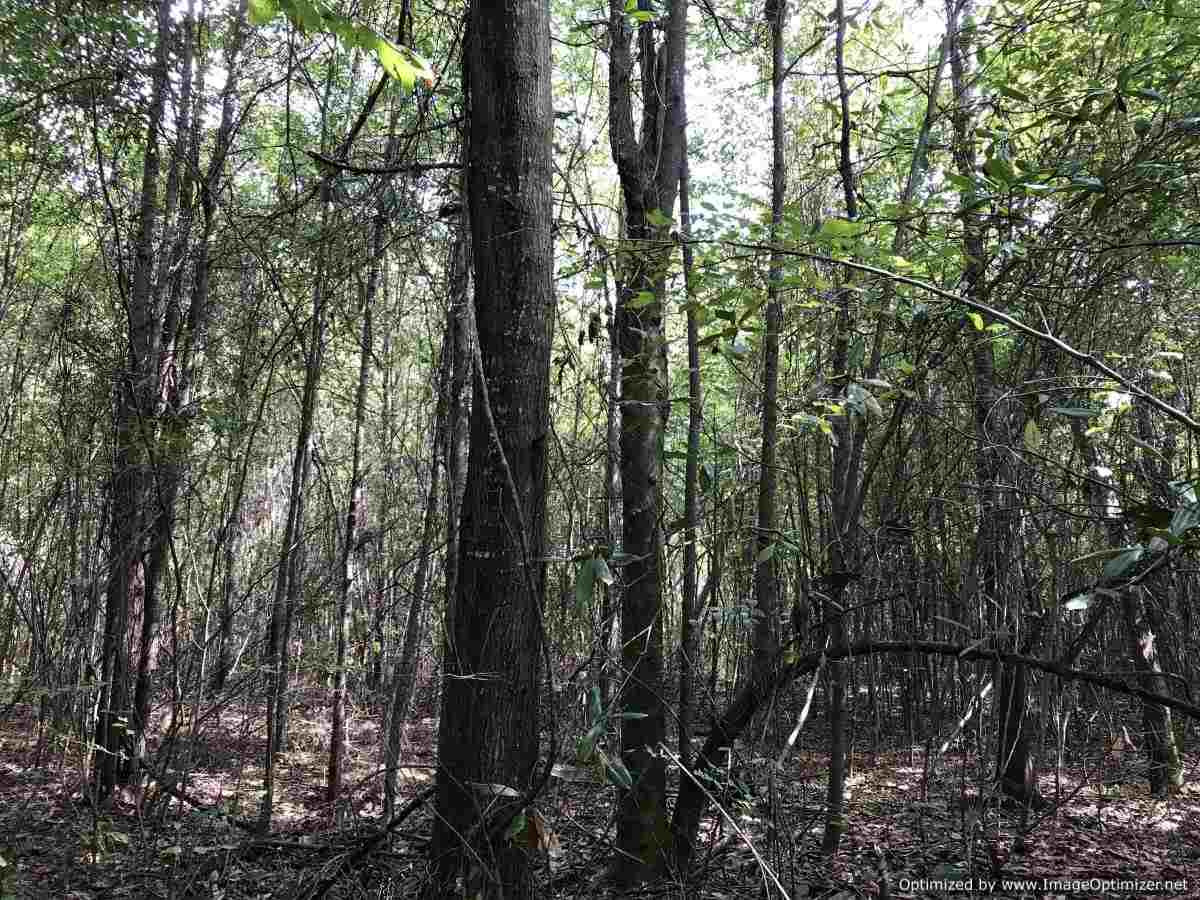 1080 Pleasant Lane Georgetown, MS 39078 - Photo 22 of 24 Photo 22