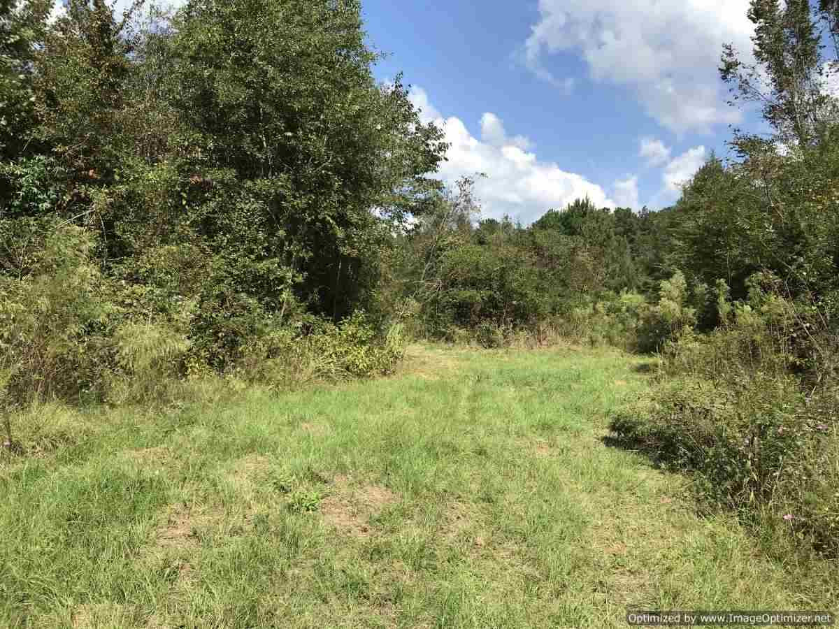 1080 Pleasant Lane Georgetown, MS 39078 - Photo 9 of 24 Photo 9
