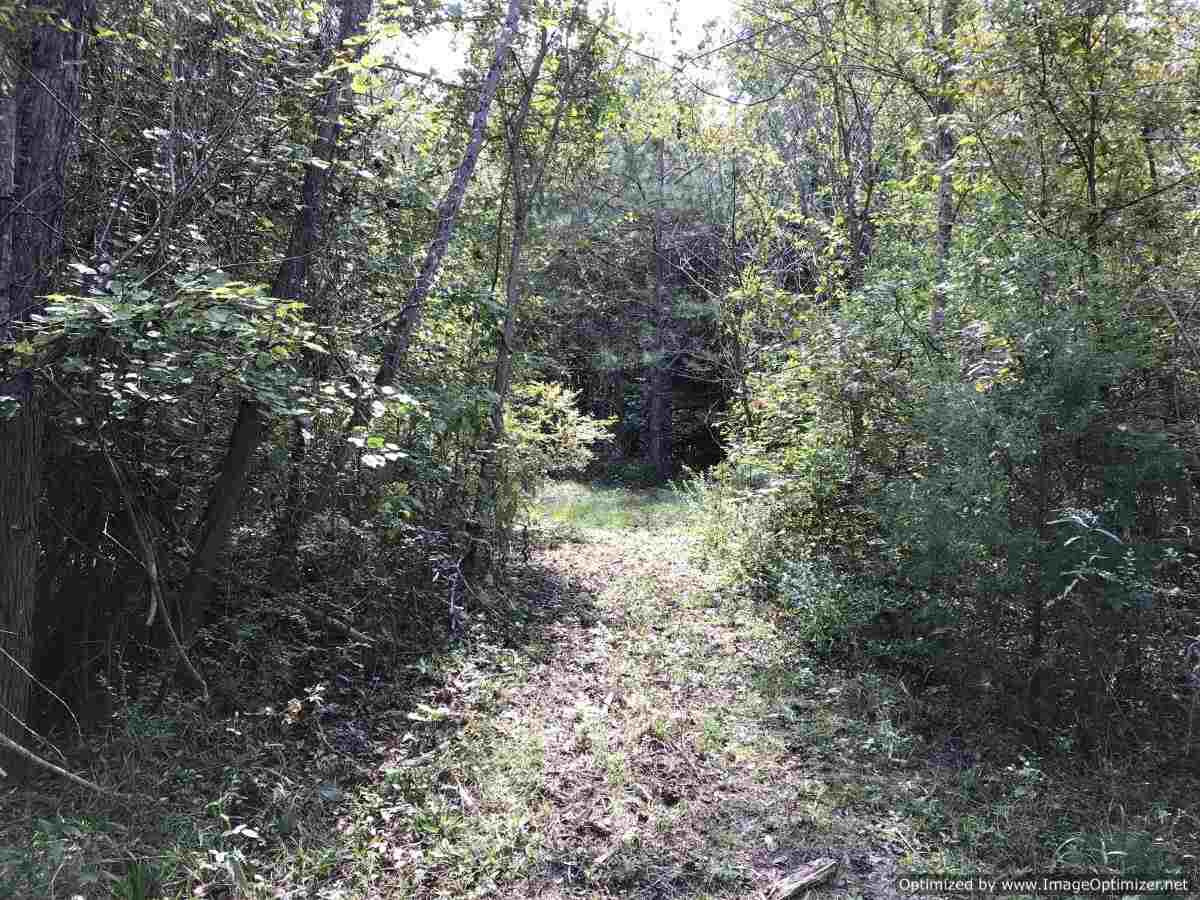1080 Pleasant Lane Georgetown, MS 39078 - Photo 10 of 24 Photo 10