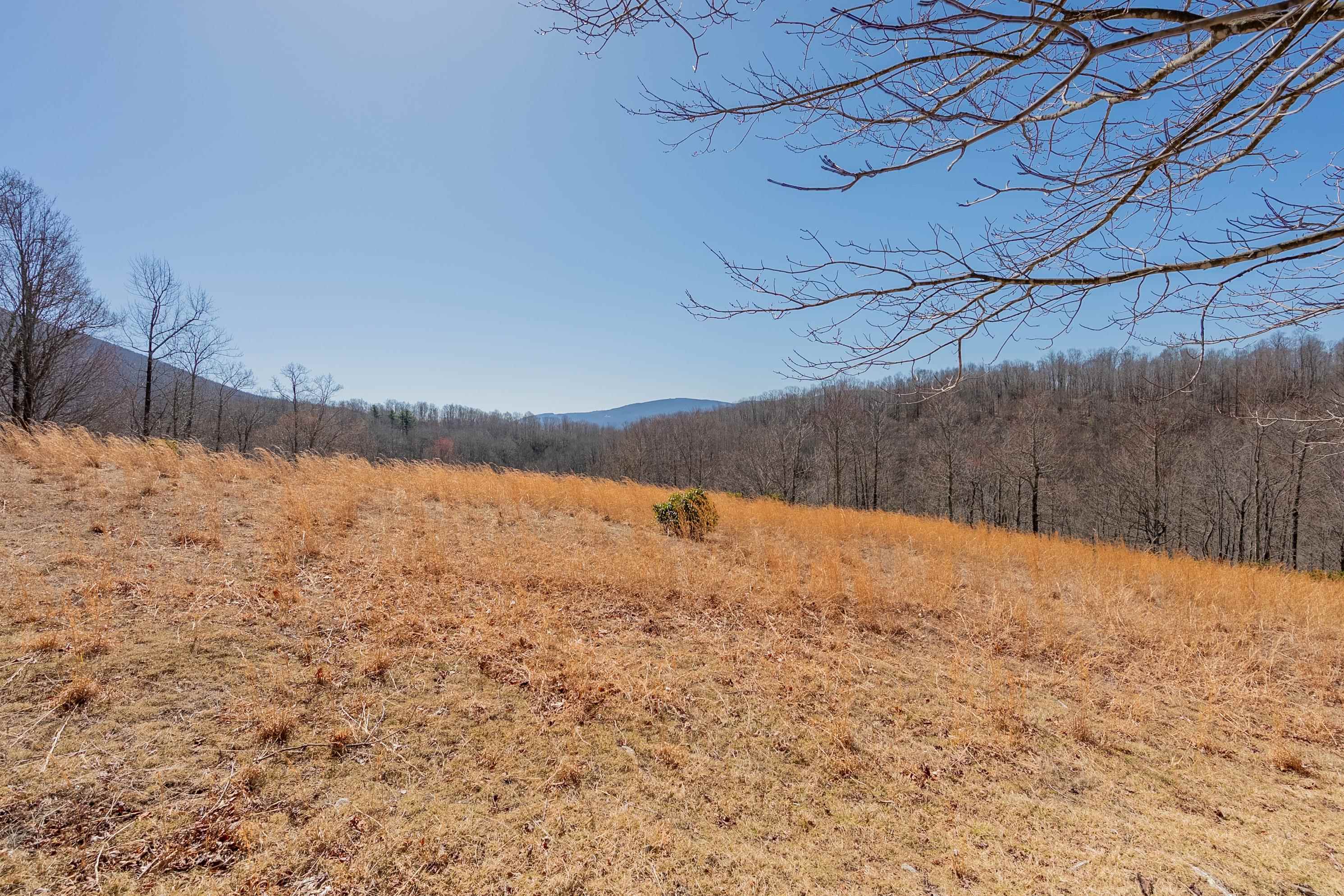 Tbd Southwest Tbd Sw Jeb Stuart Road Southwest Damascus, VA 24236 - Photo 69 of 113 Gallery Image 69