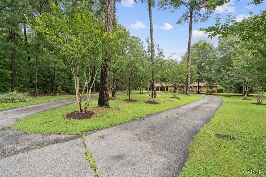 8410 Beach Road Chesterfield, VA 23838 - Photo 22 of 22 a view of a park with tree s