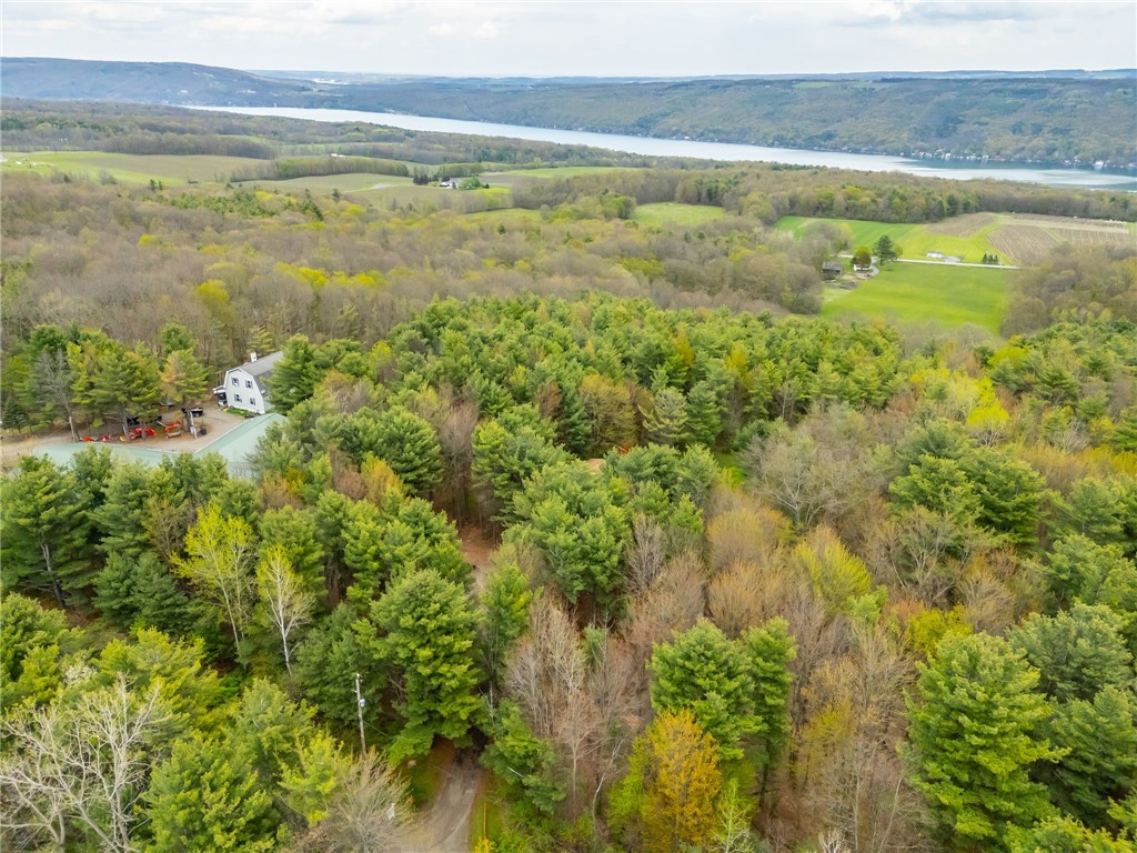 11478 Thornapple Hill Road Prattsburgh, NY 14873 - Photo 49 of 50