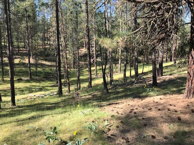 28919 West Long Lake Road Ford, WA 99013 - Photo 3 of 15