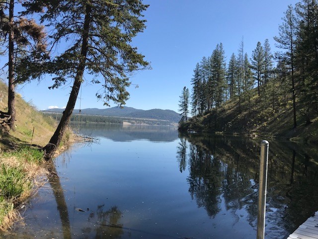 28919 West Long Lake Road Ford, WA 99013 - Photo 8 of 15