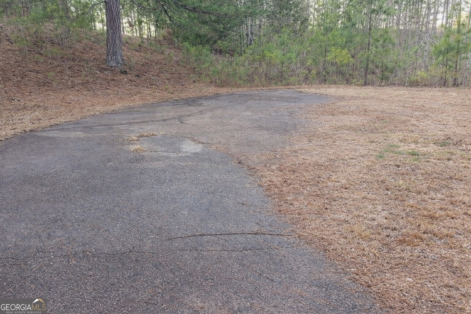 831 Sunset Drive Locust Grove, GA 30248 - Photo 4 of 20